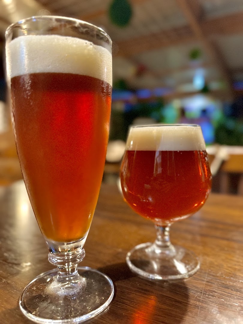 Iris Birra
