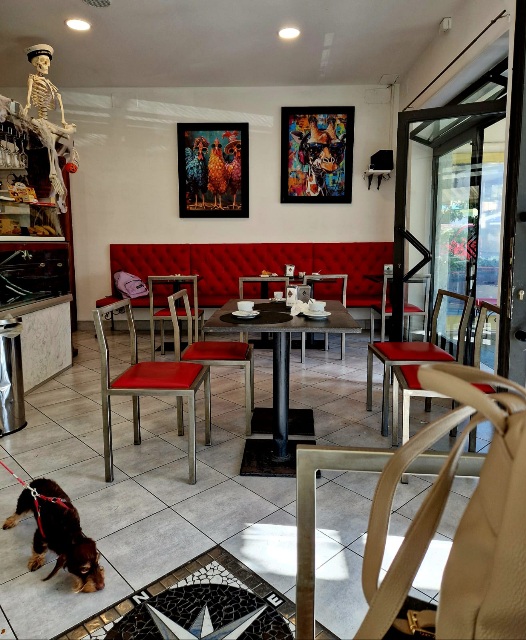 Ischia Caffè, Carrara