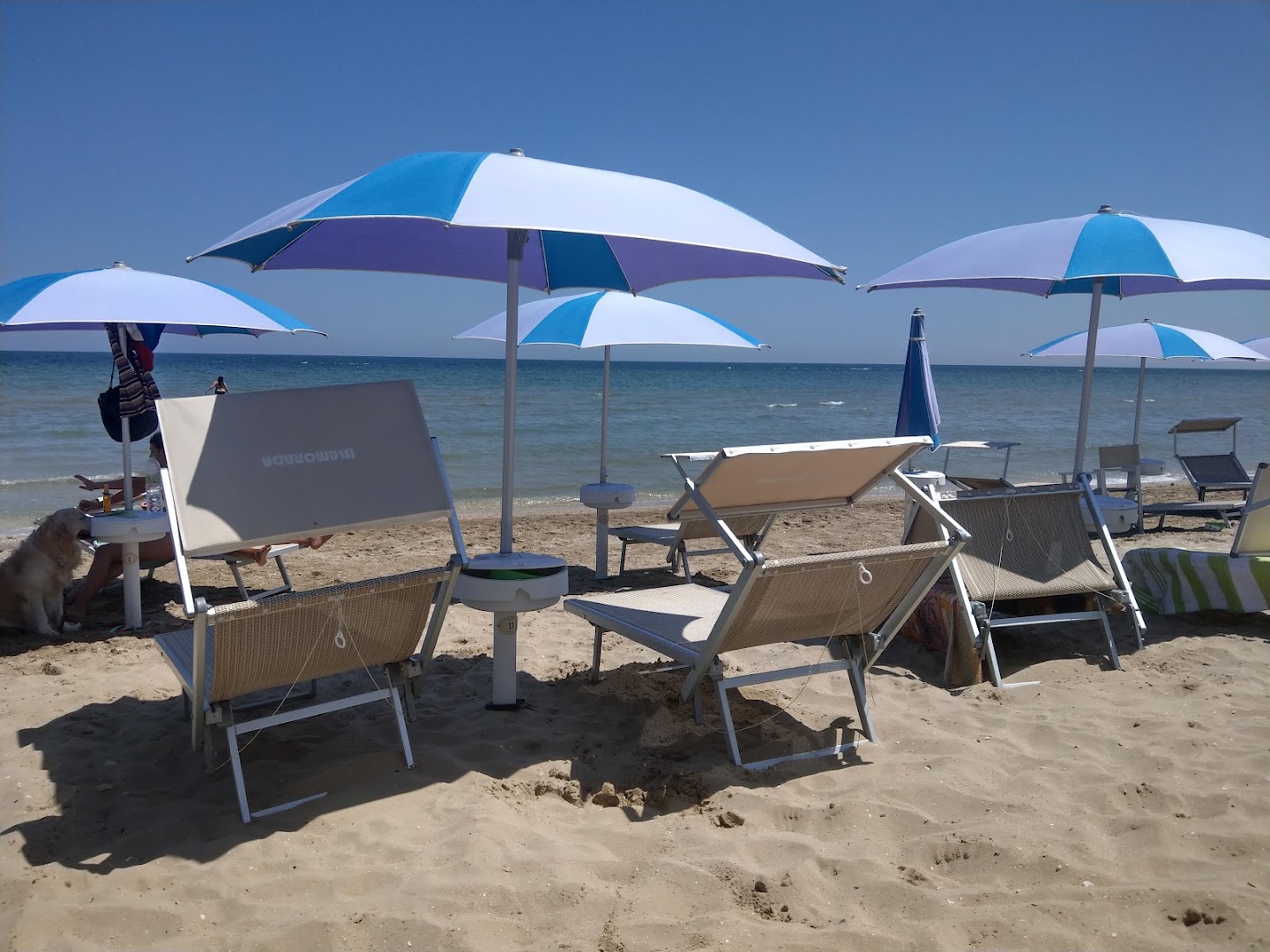 Islamorada - Dog Beach