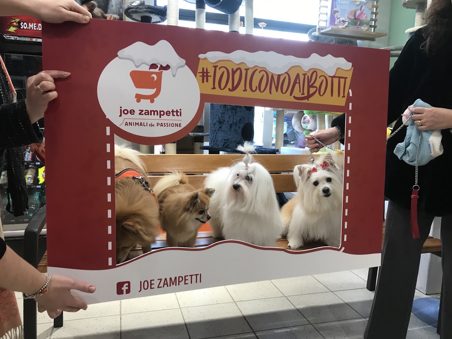Joe Zampetti by Isola dei Tesori - Bari ( Via Amendola )