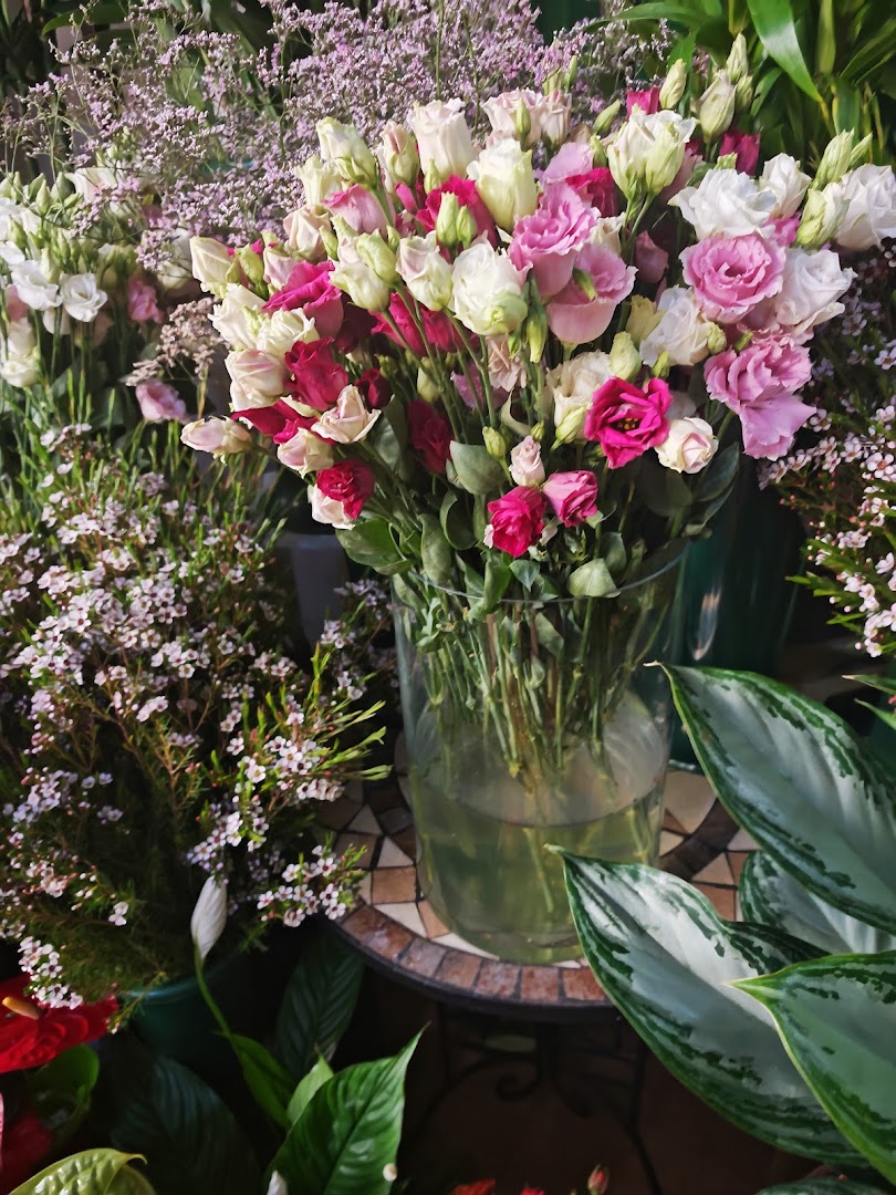 Katerine Flowers di Nicola Carbonaro, Messina