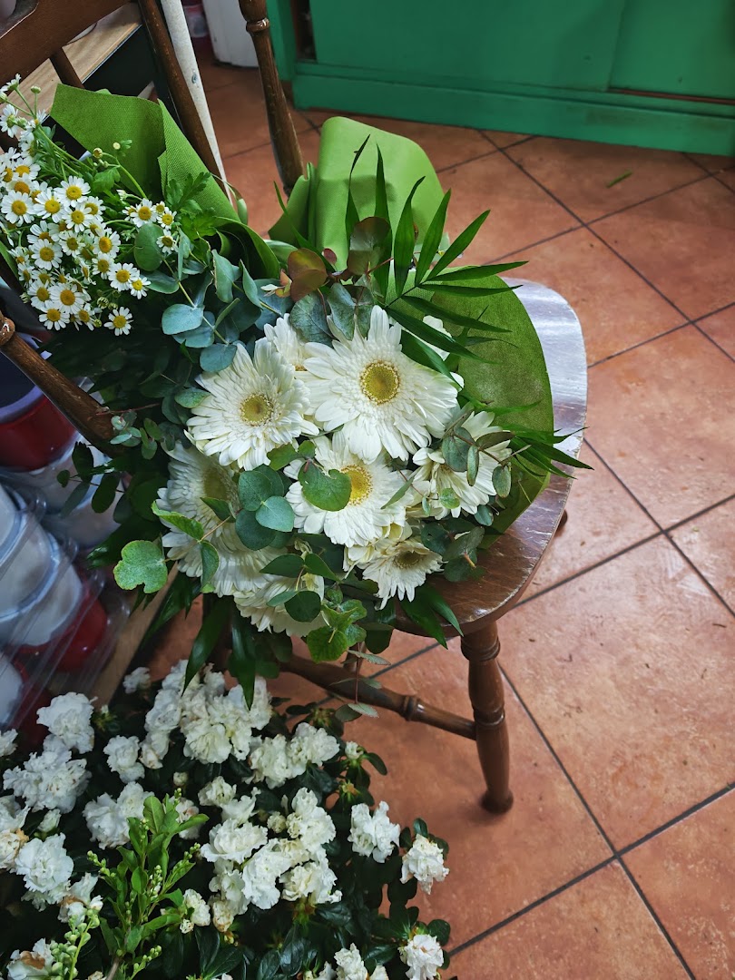 Katerine Flowers di Nicola Carbonaro