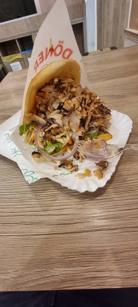 Kebab Aladino