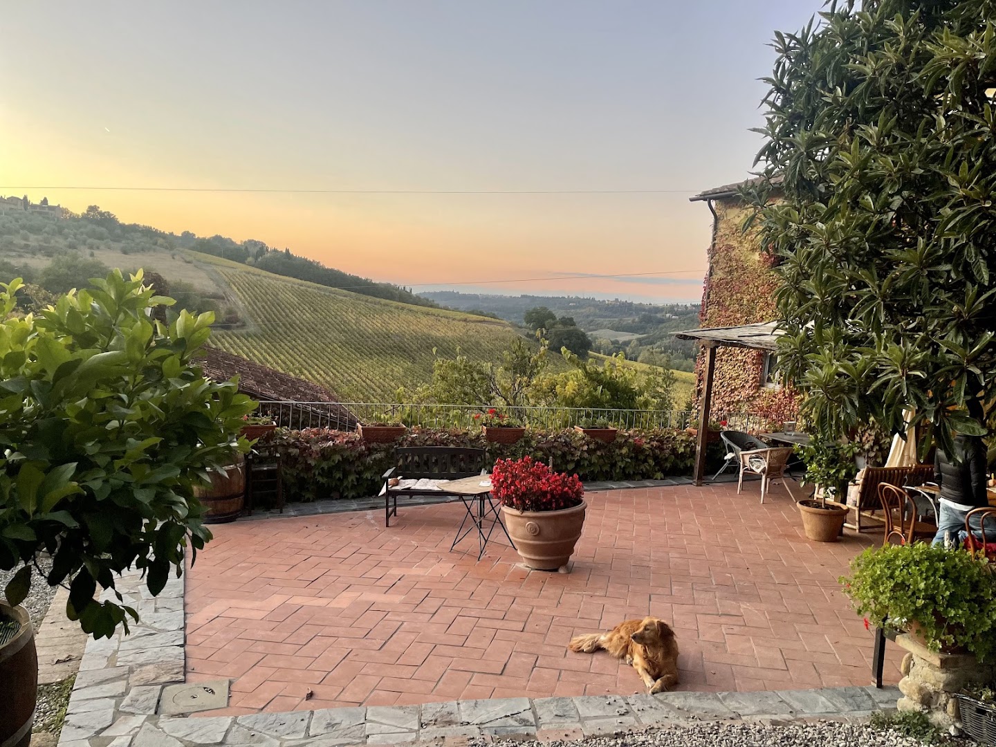KM Zero Tours, San Casciano in Val di Pesa