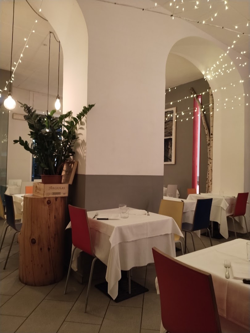Kon Tiki, Monza