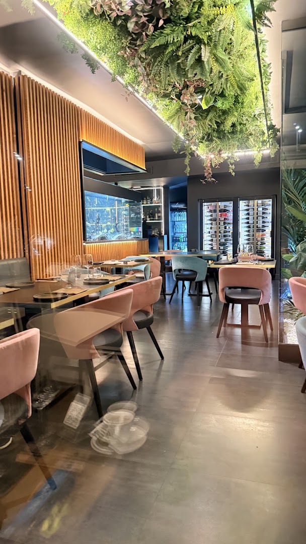 Krudo sushi fusion mixology