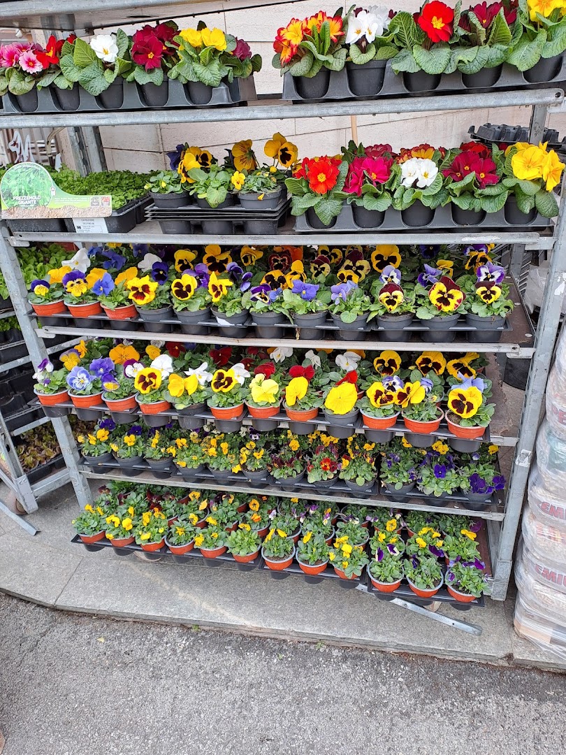 L' Agraria Franco Mario