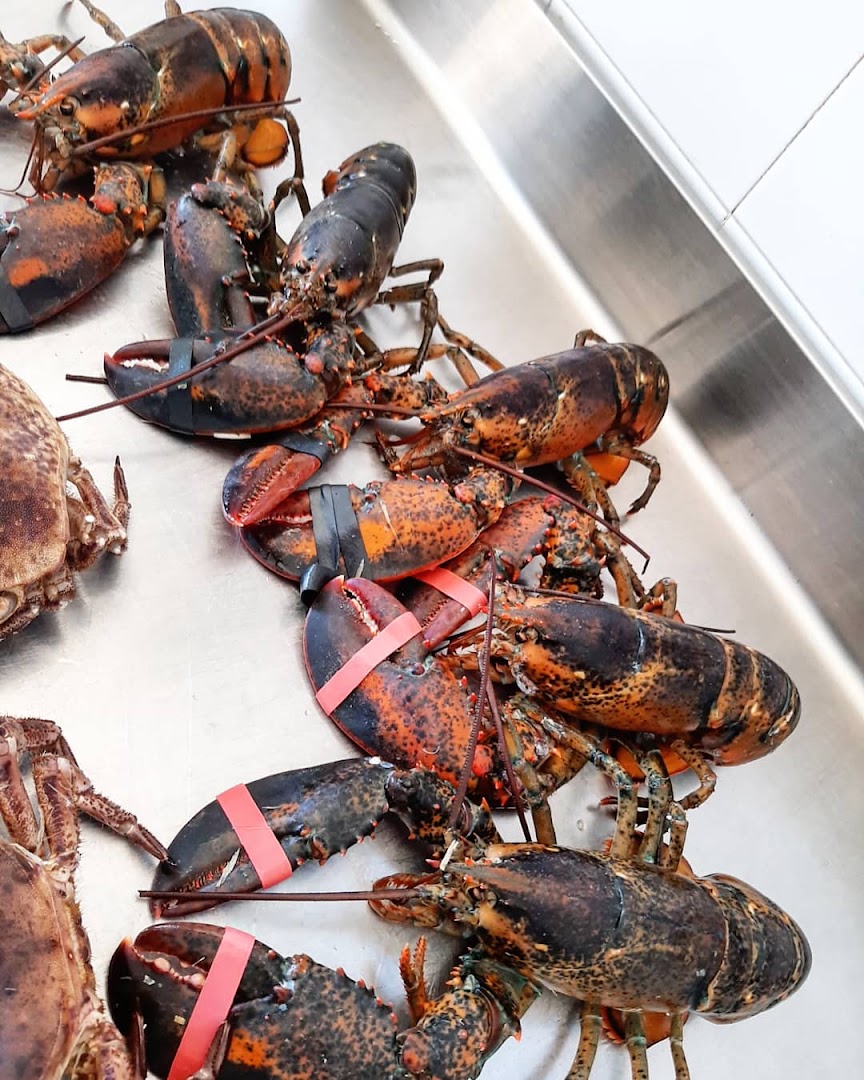 L' Eliza | Ristorante di pesce