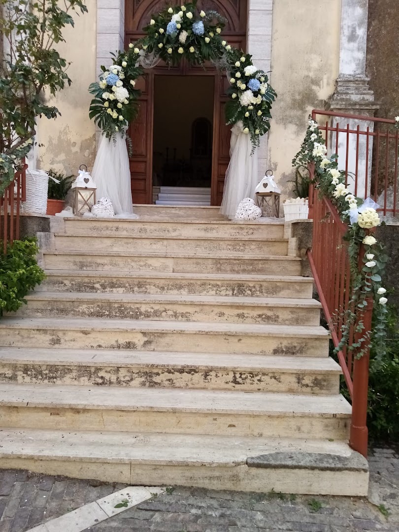 L' Orchidea di Giovanni Alfì