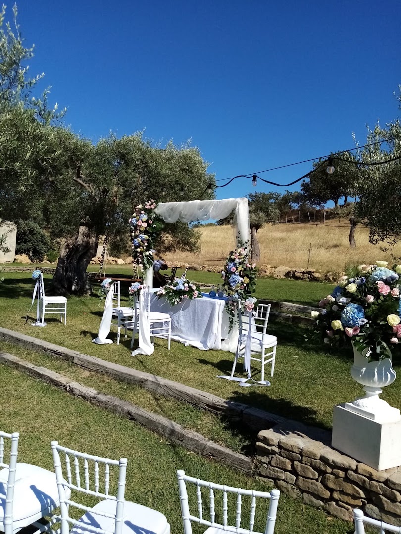 L' Orchidea di Giovanni Alfì