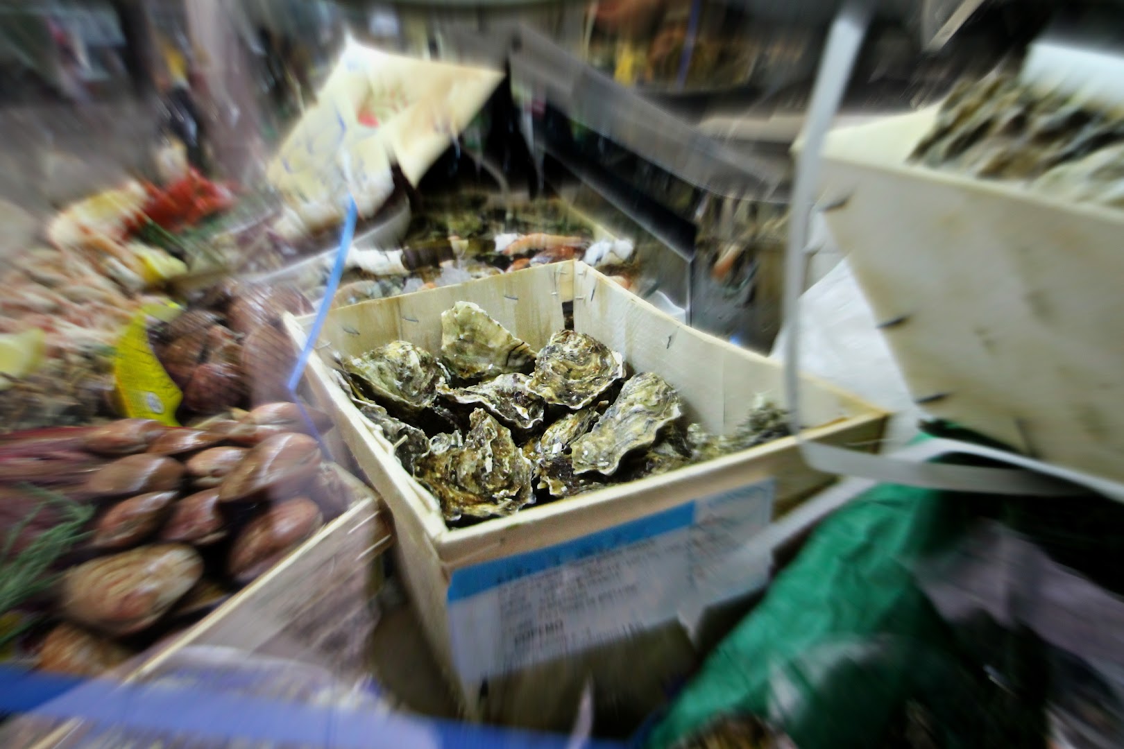 L' Ostrica Ubriaca, Civitavecchia