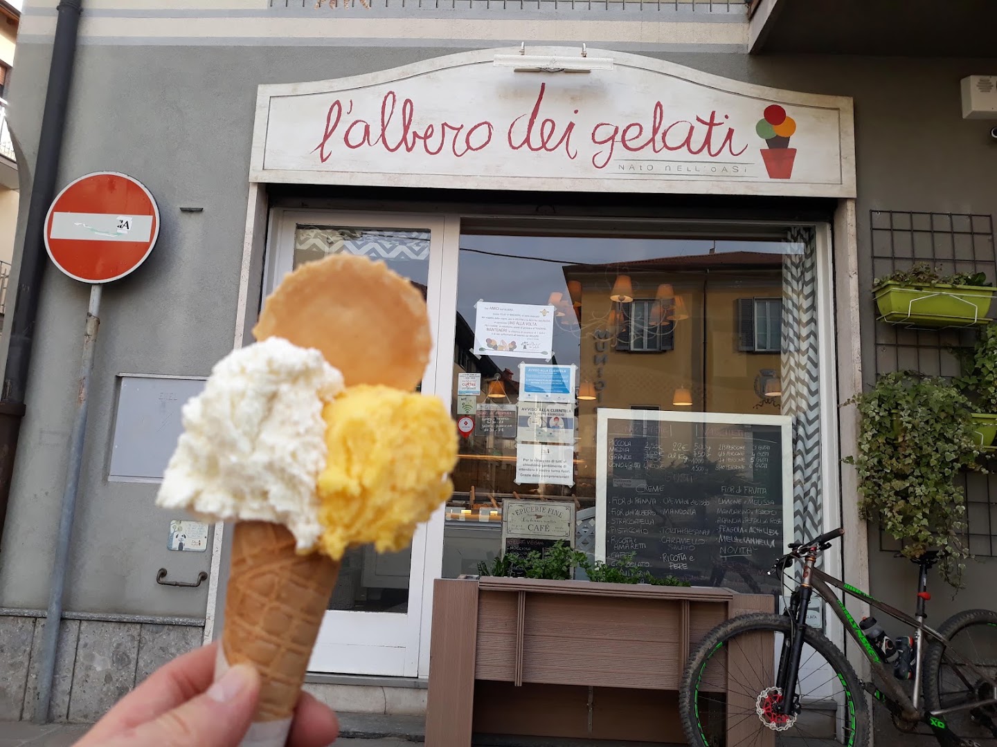 L’Albero dei Gelati
