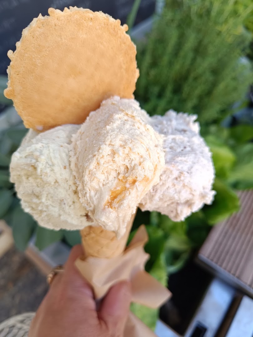 L’Albero dei Gelati
