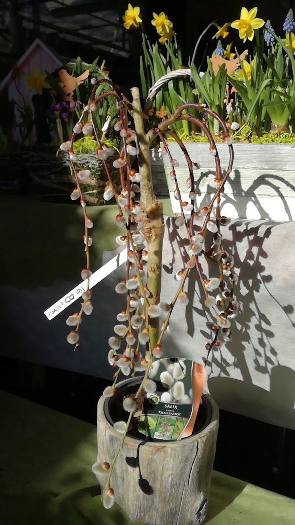 La Botanica Galbiati Società Agricola Semplice di Galbiati Roberto