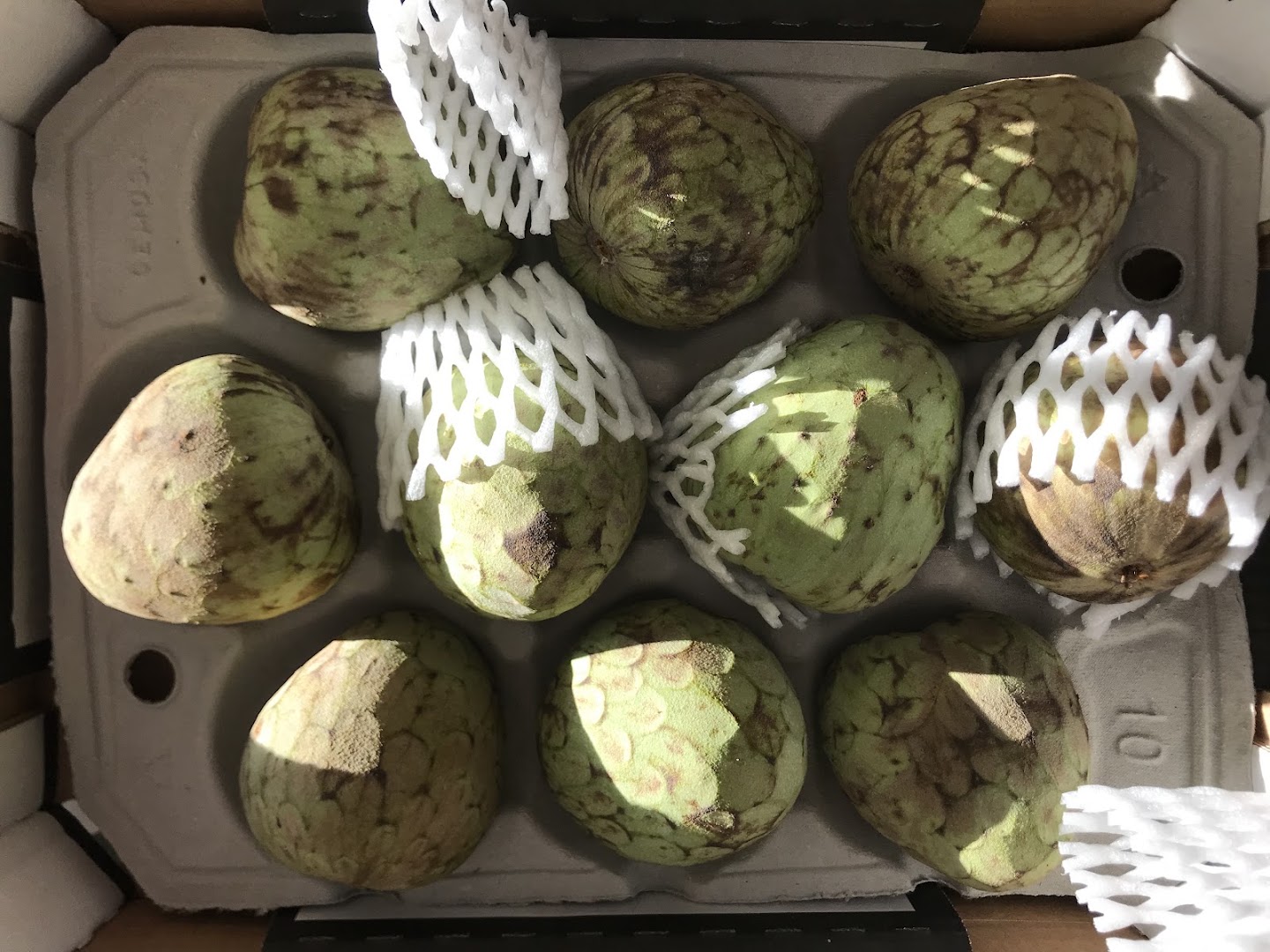 La Bottega Del Cibo