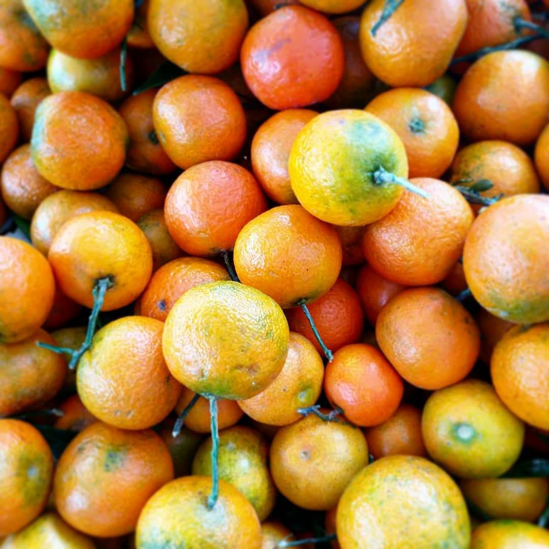 La Boutique della Frutta - Talsano (Ta)
