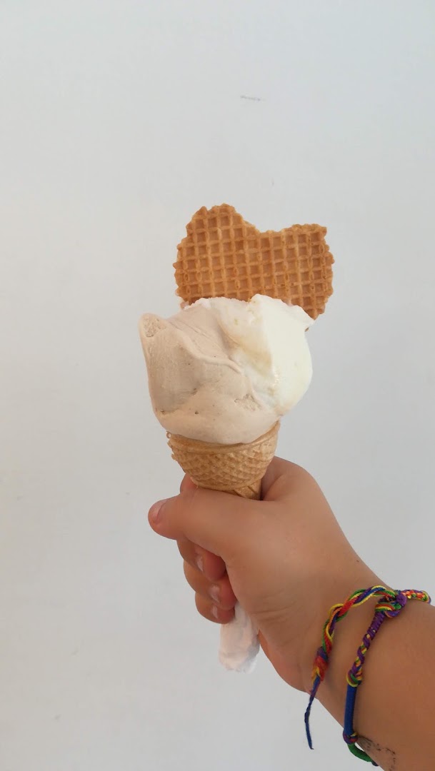 La Casa del Gelato di Michetti Maurizio