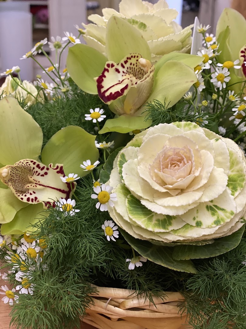 La Cattleya - Fiorista Emilia Di Credico - Infolar srl
