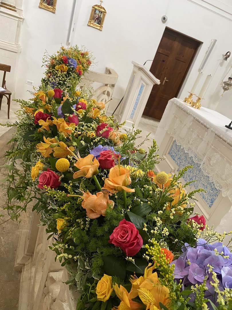 La Cattleya - Fiorista Emilia Di Credico - Infolar srl