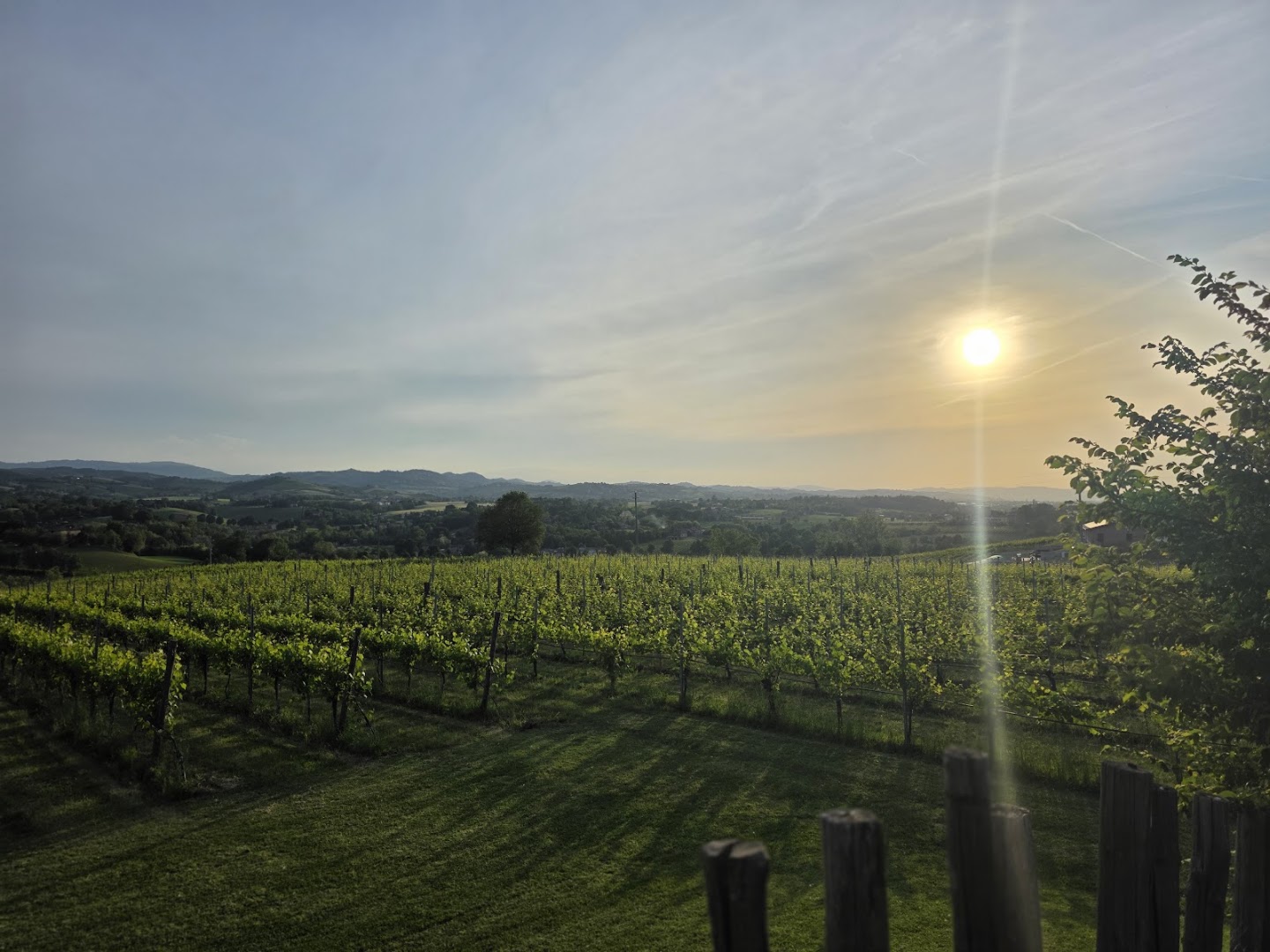 La Cavaliera Cantina e Agriturismo