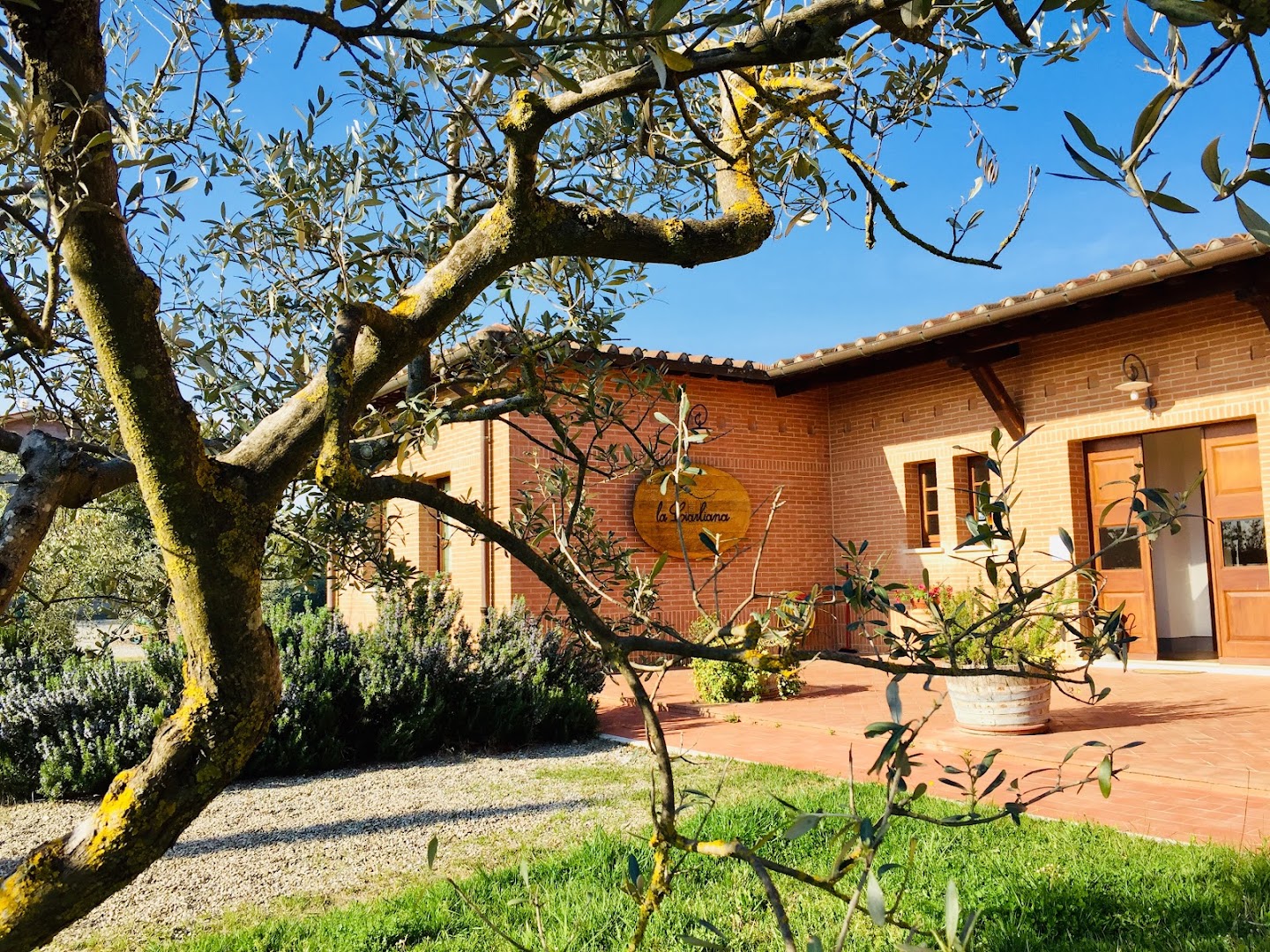 La Ciarliana - Tuscan Winery