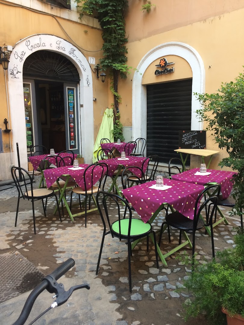 La Cicala E La Formica