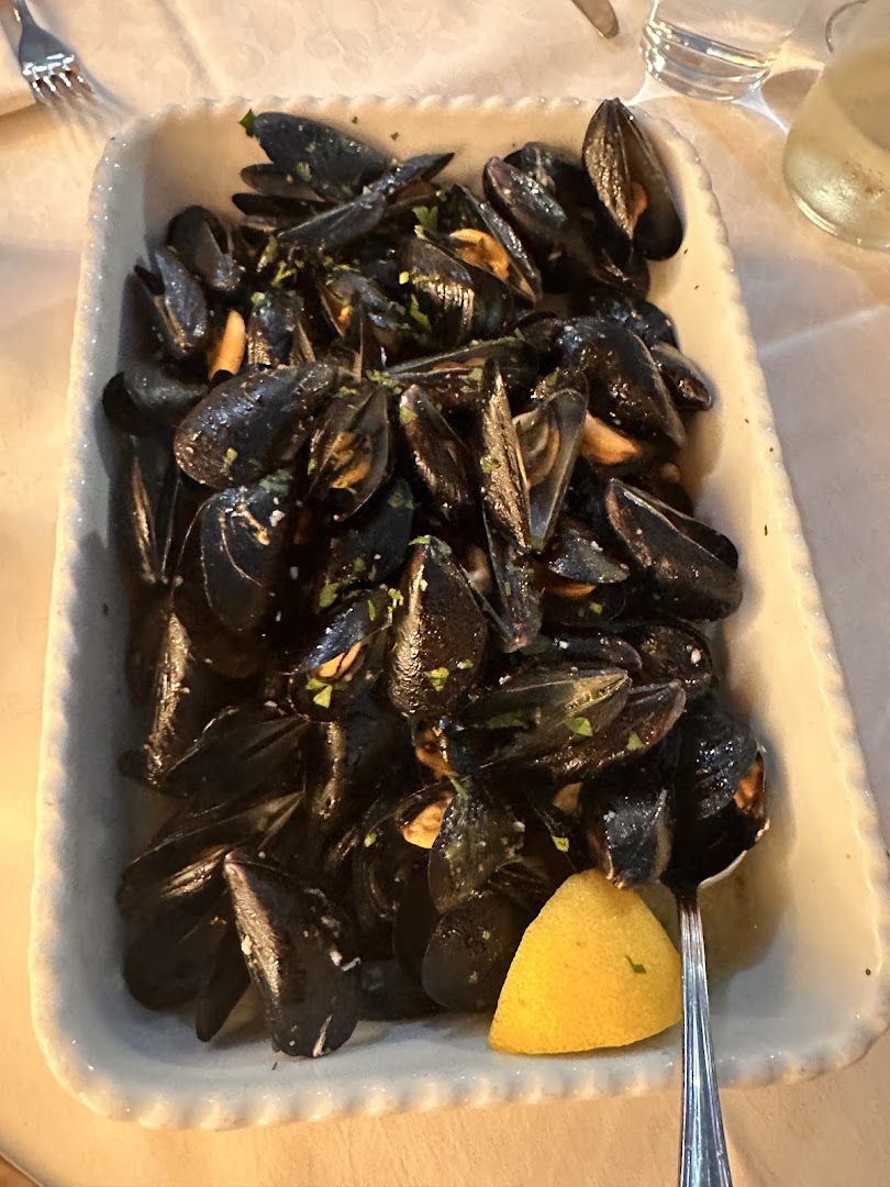 La Conchiglia D'Oro