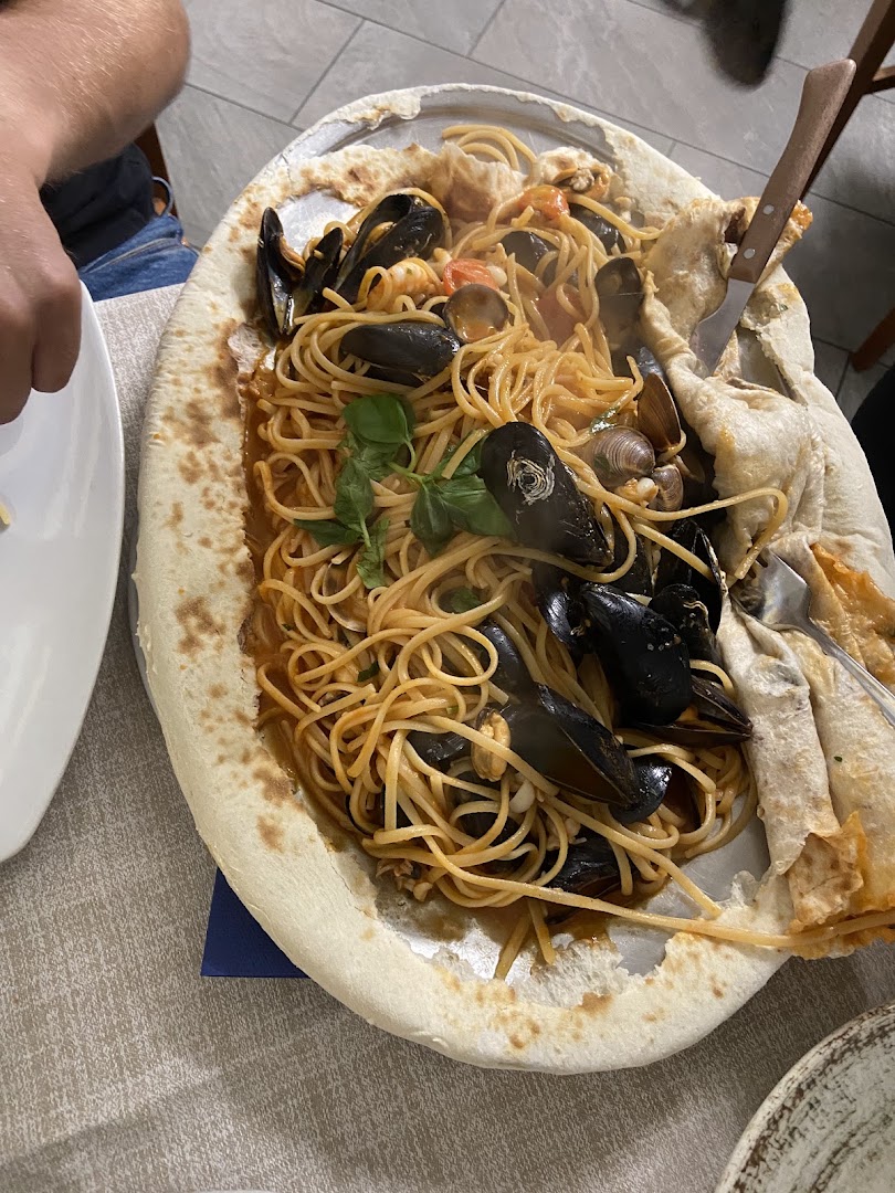 La conchiglia Magenta