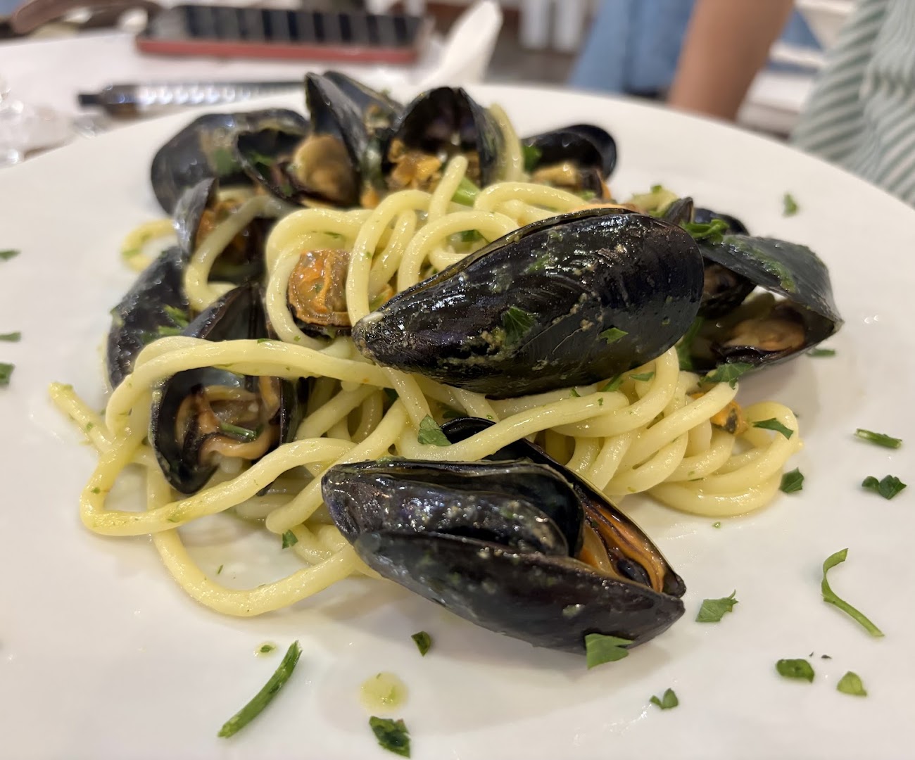 La Conchiglia