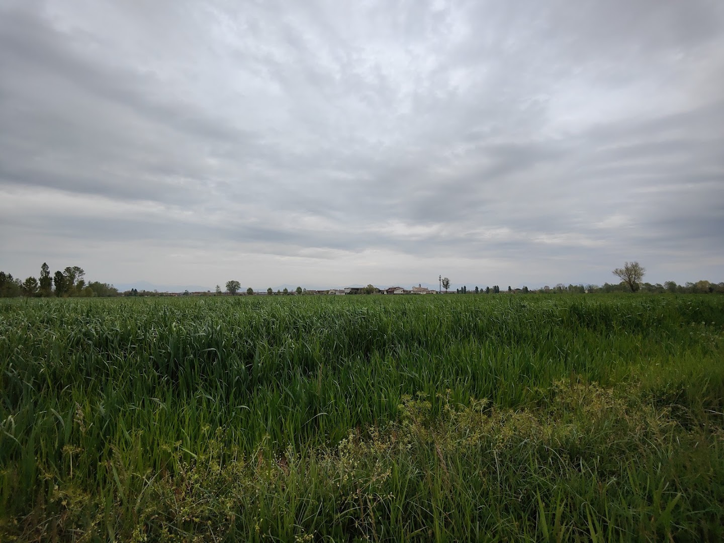 La Conta - Parco delle Risorgive, Trenzano