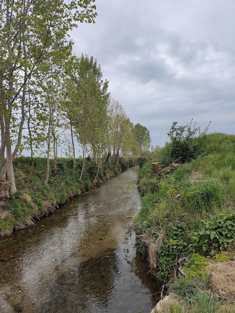 La Conta - Parco delle Risorgive
