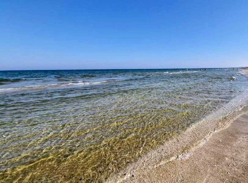 La DolceVita 34 Rimini, Rimini