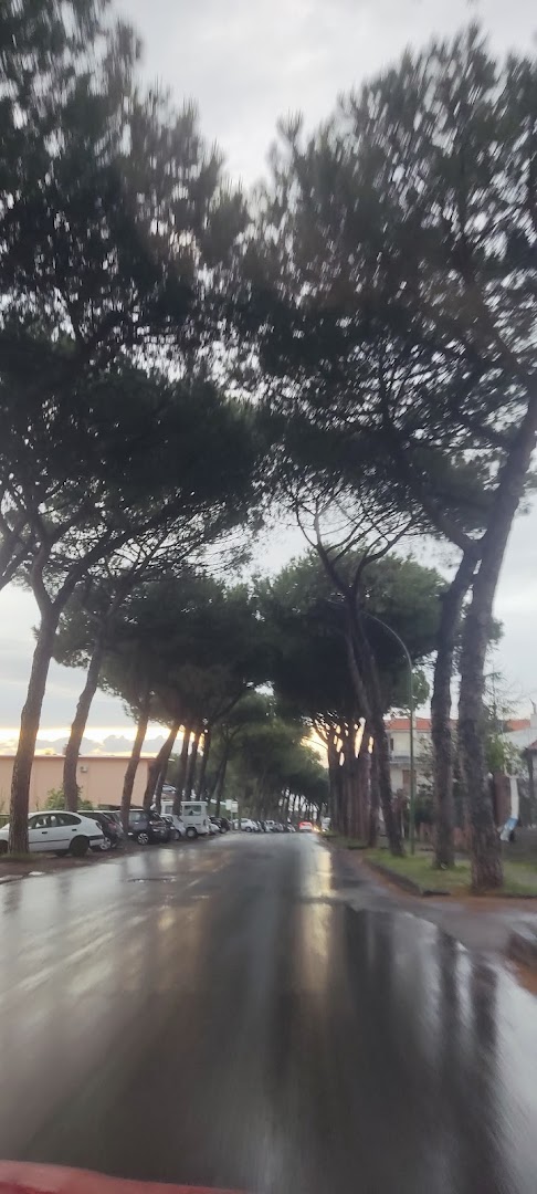 La Ferramenta Vesuvio Di Romano Gioacchino