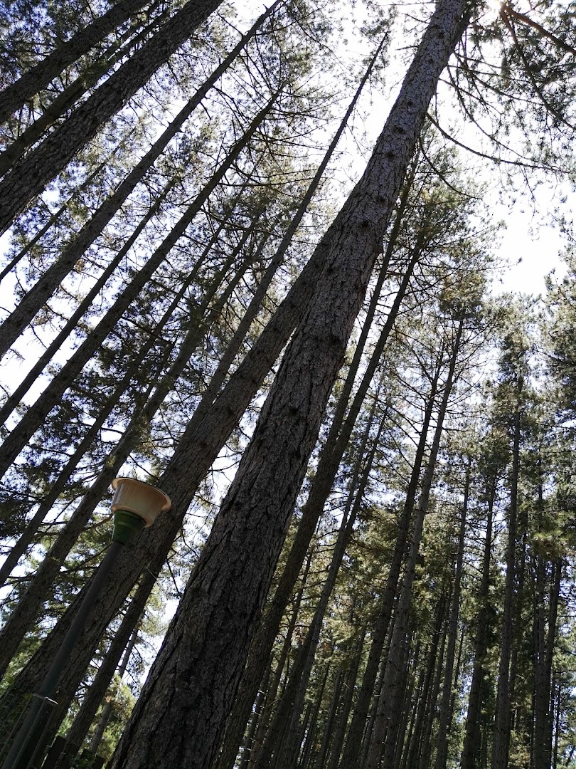 La FONTE DI CALAGORA presso Il Ristoro La Pineta