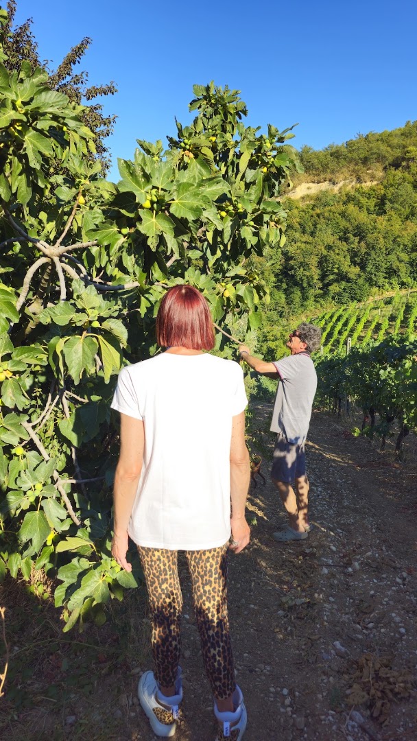 La Fontursia srl, Ripatransone