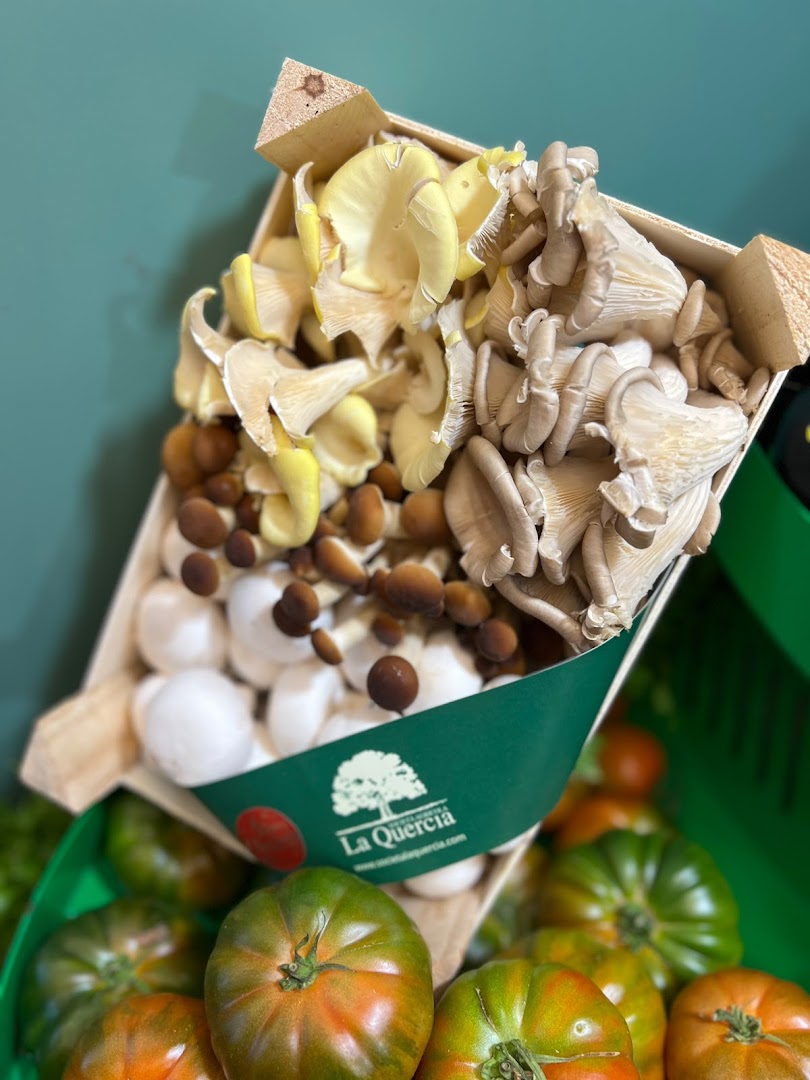 La Frutteria