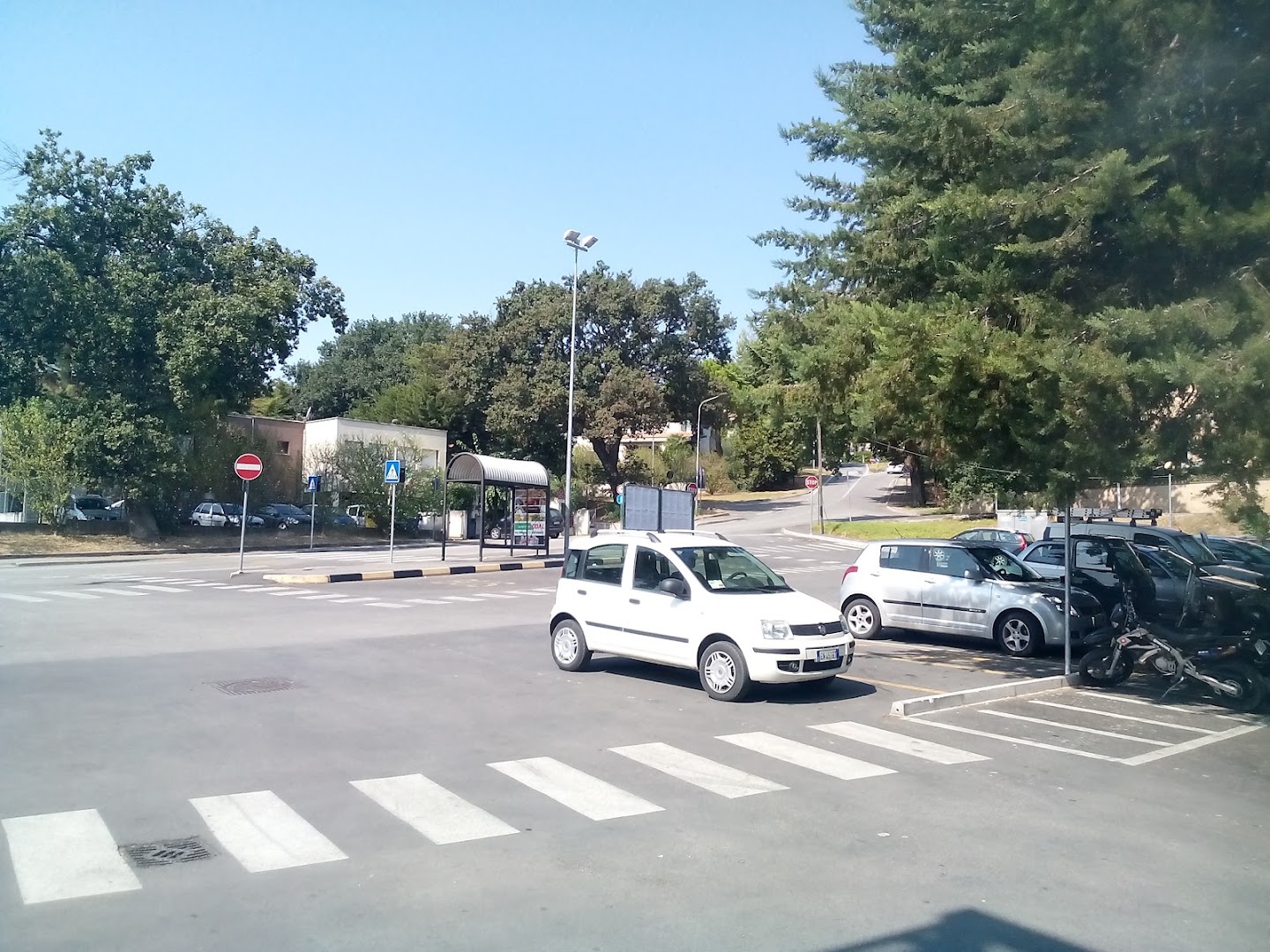 La Gatta Mimì, Recanati