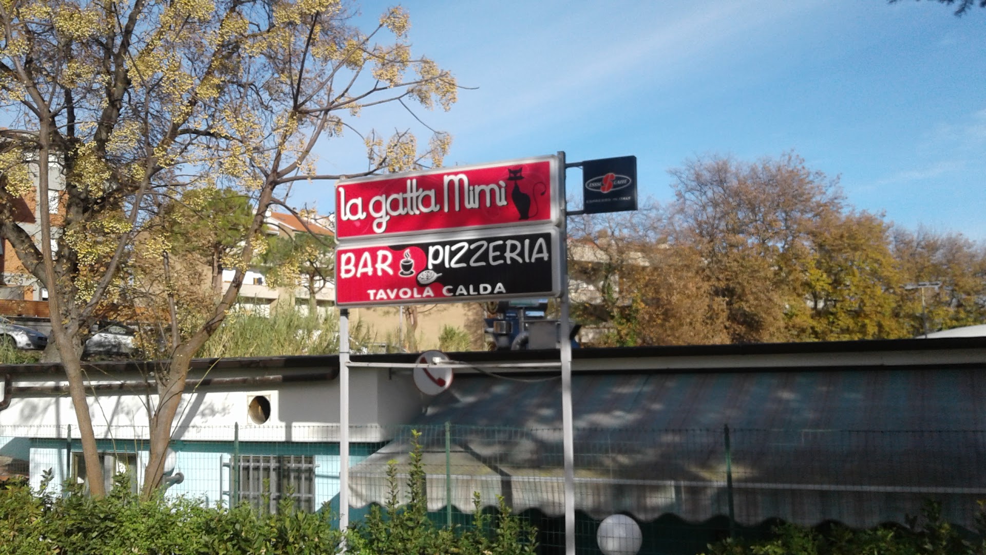 La Gatta Mimì