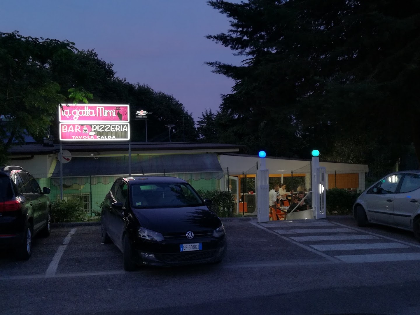 La Gatta Mimì