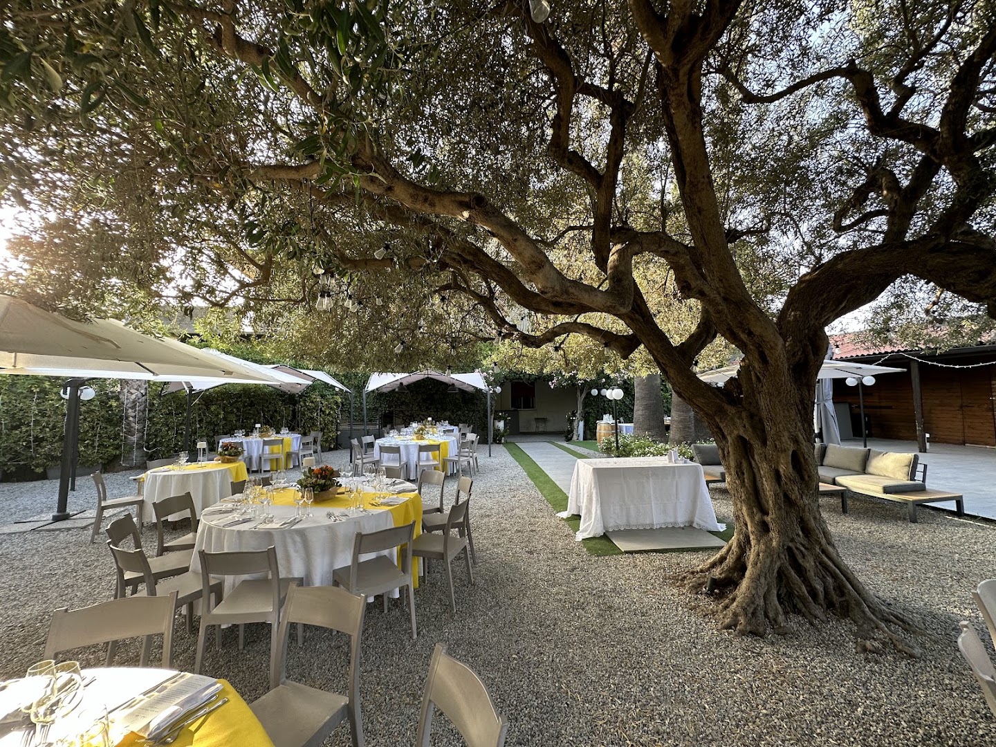 La Griglia ristorante Cattafi
