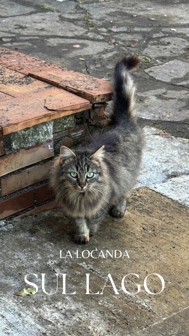La Locanda sul Lago