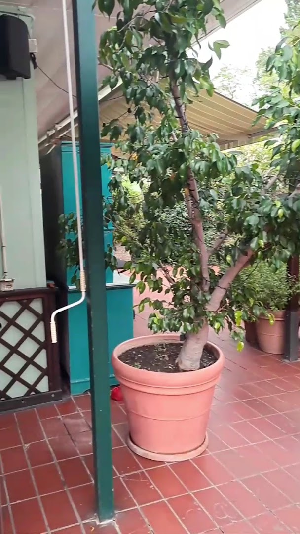 La Lucciola