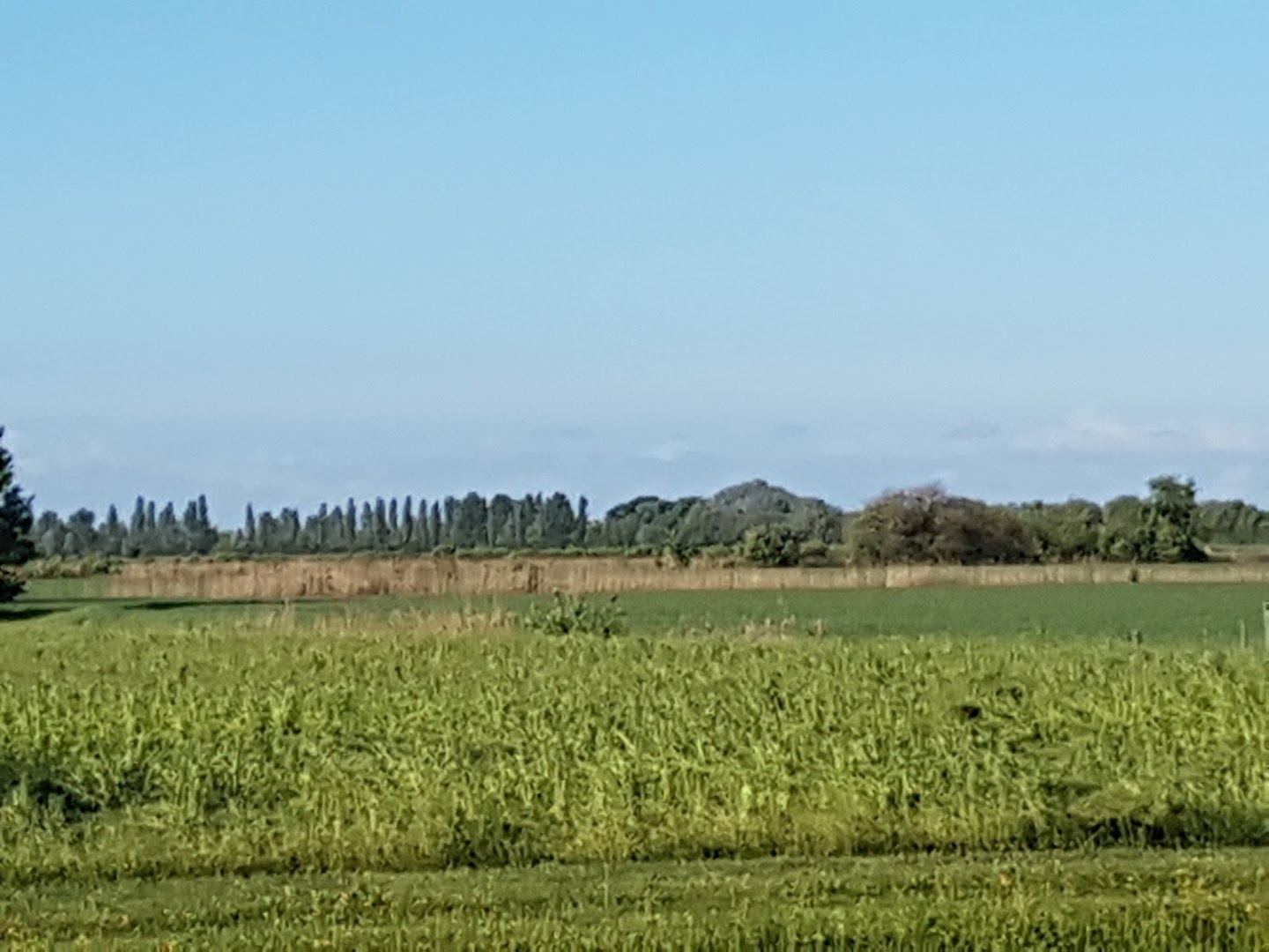 La LUIA Kaffetteria, caffè y más