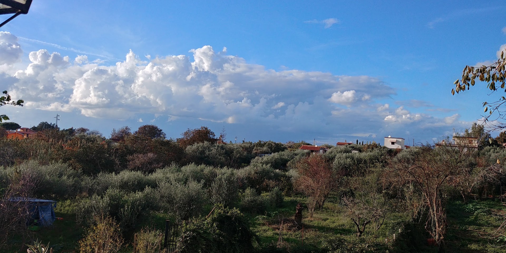 La Maddalena Srl, Albano Laziale