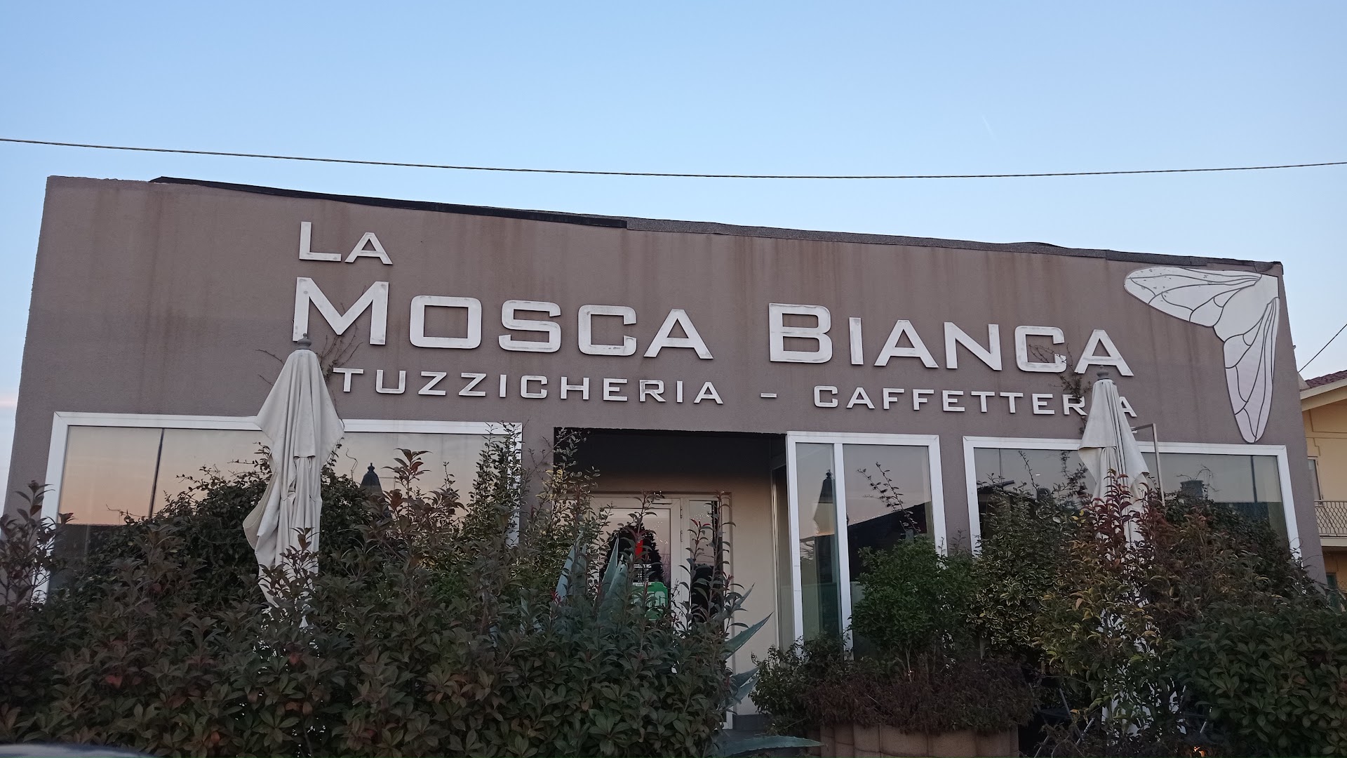 La Mosca Bianca