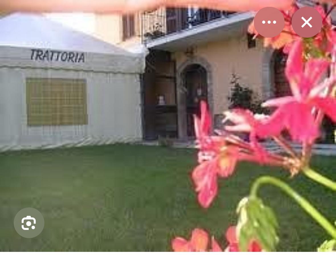 la nuova contadina