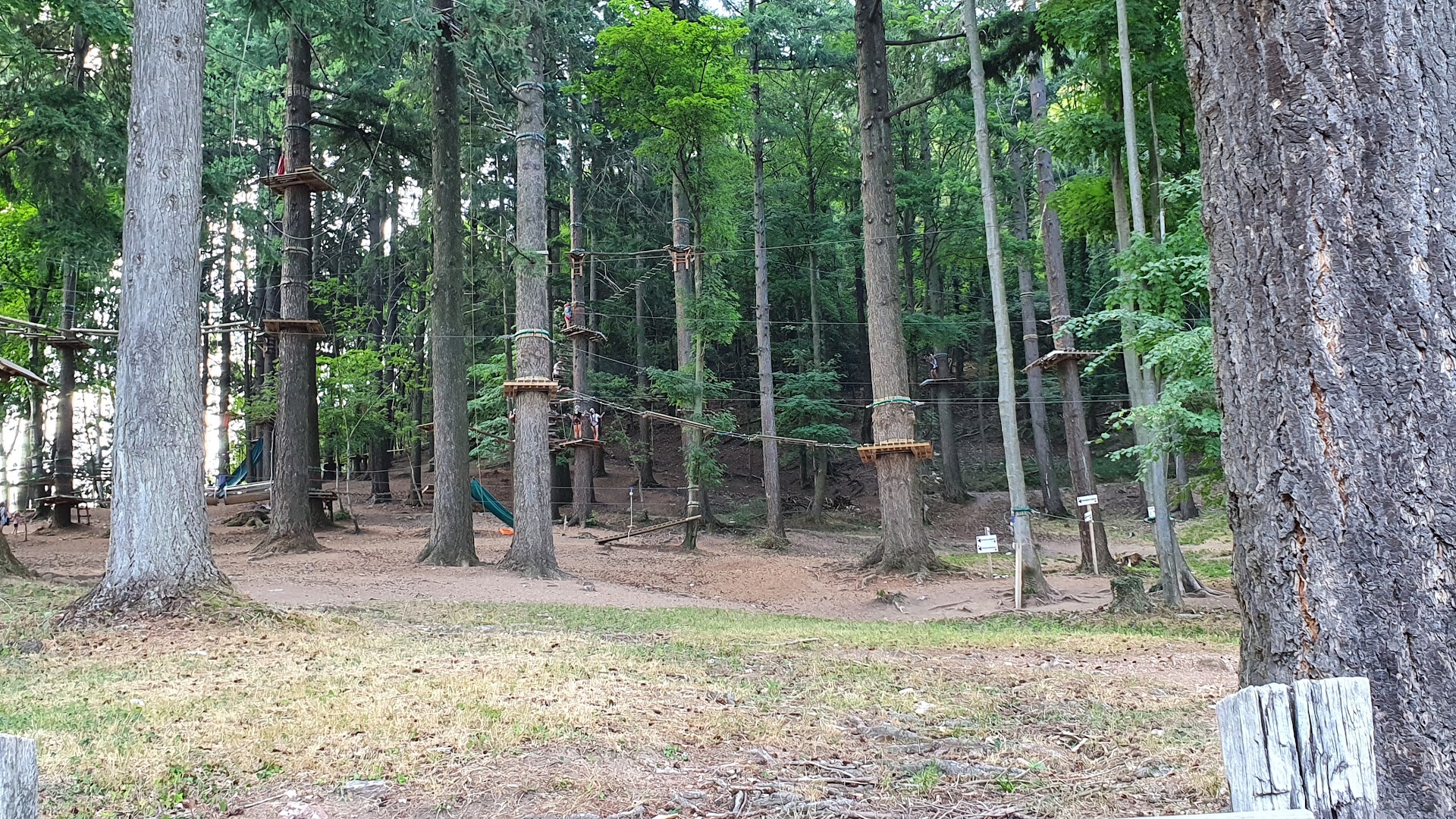 La Nuova Locanda del Vicerè