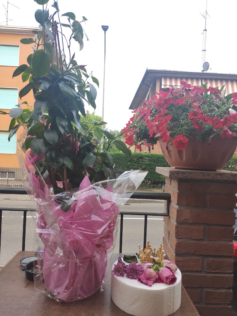 La Nuova Scaletta, Monticelli Terme