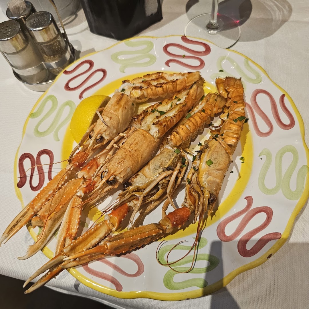 La Nuova Toscana