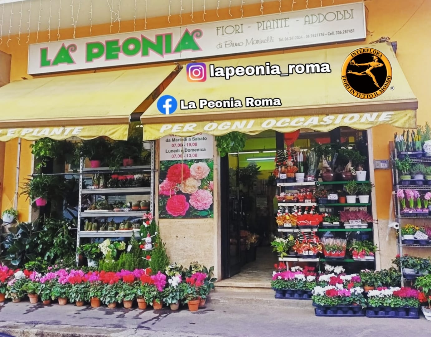 La Peonia S.N.C. Di Marinelli Bruno & C.
